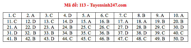 Giáo dục - Đáp án đề thi môn Toán tốt nghiệp THPT Quốc gia 2020 chuẩn nhất mã đề 113