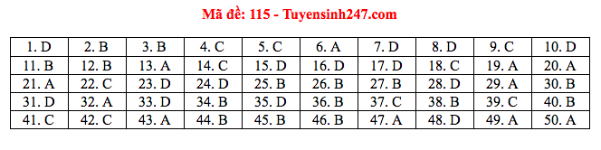 Giáo dục - Đáp án đề thi môn Toán tốt nghiệp THPT Quốc gia 2020 chuẩn nhất mã đề 115 (Hình 4).