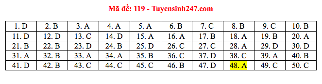 Giáo dục - Đáp án đề thi môn Toán tốt nghiệp THPT Quốc gia 2020 chuẩn nhất mã đề 119