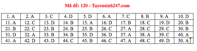 Giáo dục - Đáp án đề thi môn Toán tốt nghiệp THPT Quốc gia 2020 chuẩn nhất mã đề 120 (Hình 4).