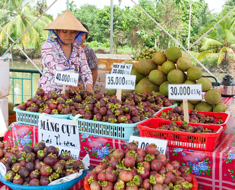 Đối thoại - Nhiều người quên mất Bình Dương cũng có nông sản, lỗi ở đâu? (Hình 3).