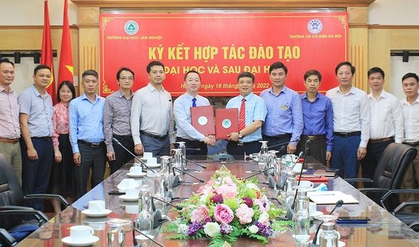 Giáo dục - Đẩy mạnh hợp tác đào tạo nguồn nhân lực