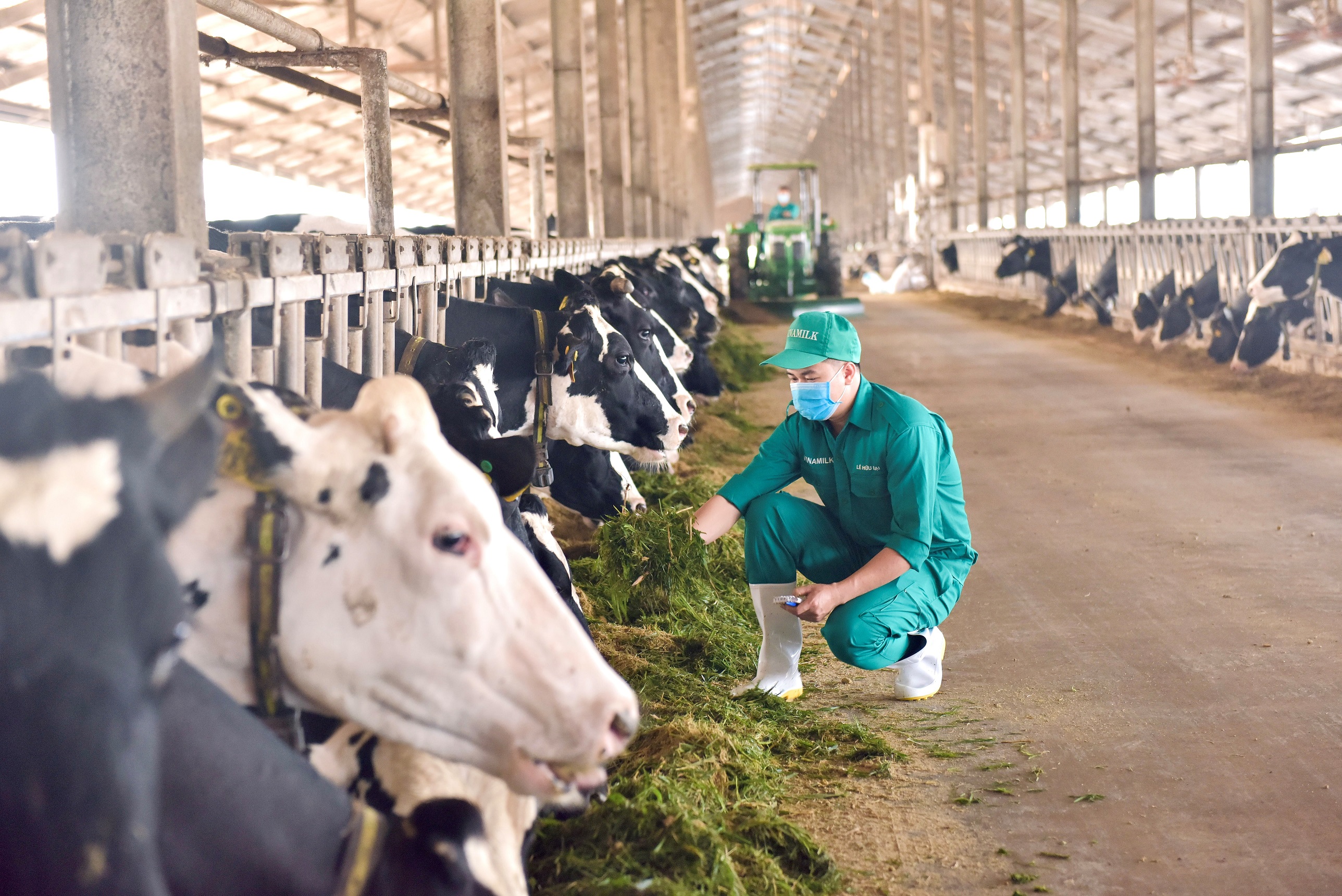 Kinh tế - Vinamilk đại diện duy nhất từ Đông Nam Á chia sẻ mô hình phát triển bền vững “Green Farm” tại Hội nghị sữa toàn cầu (Hình 7).