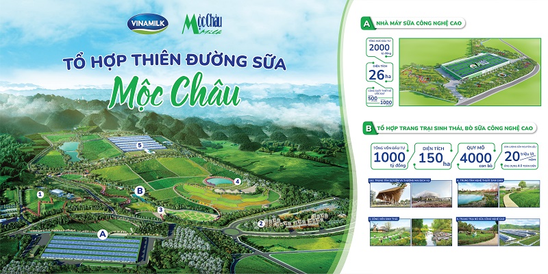 Kinh tế - Hé lộ hình ảnh Thiên đường sữa tại Mộc Châu - kỳ quan tương lai của Tây Bắc