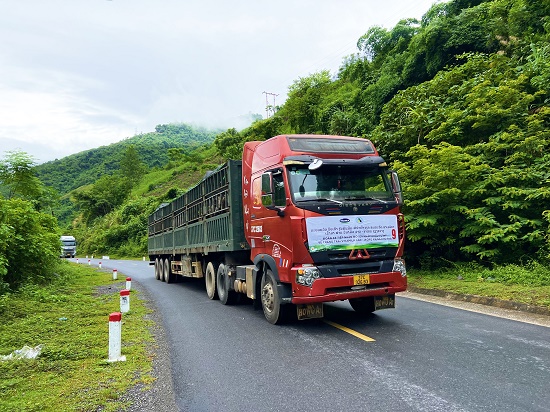 Kinh tế - Vinamilk nhập 1000 bò sữa HF từ Mỹ về tổ hợp trang trại tại Lào (Hình 3).