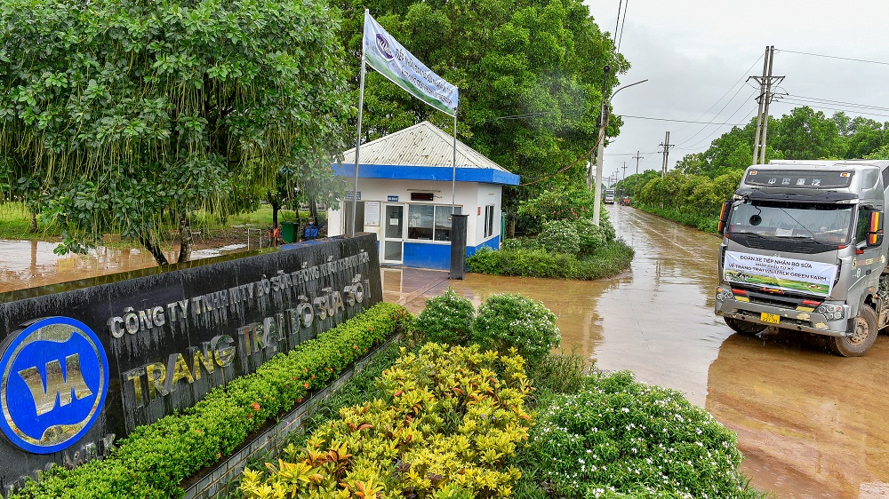 Kinh tế - Vinamilk tăng cường đàn bò sữa cho các Green Farm với hơn 1.500 bò sữa nhập từ Mỹ (Hình 4).