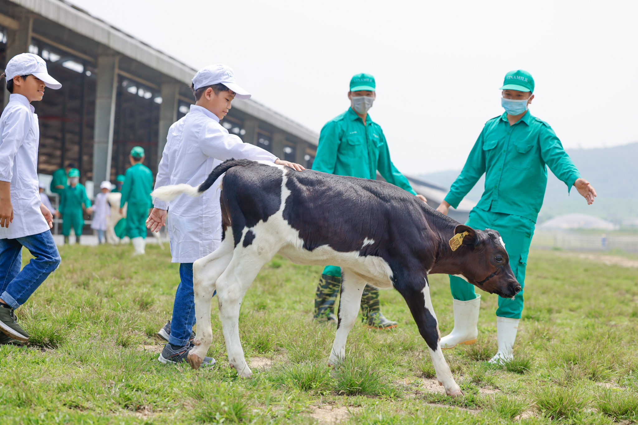 Kinh tế - Những khoảnh khắc đẹp trên hành trình của Quỹ sữa Vươn cao Việt Nam năm thứ 15 (Hình 10).