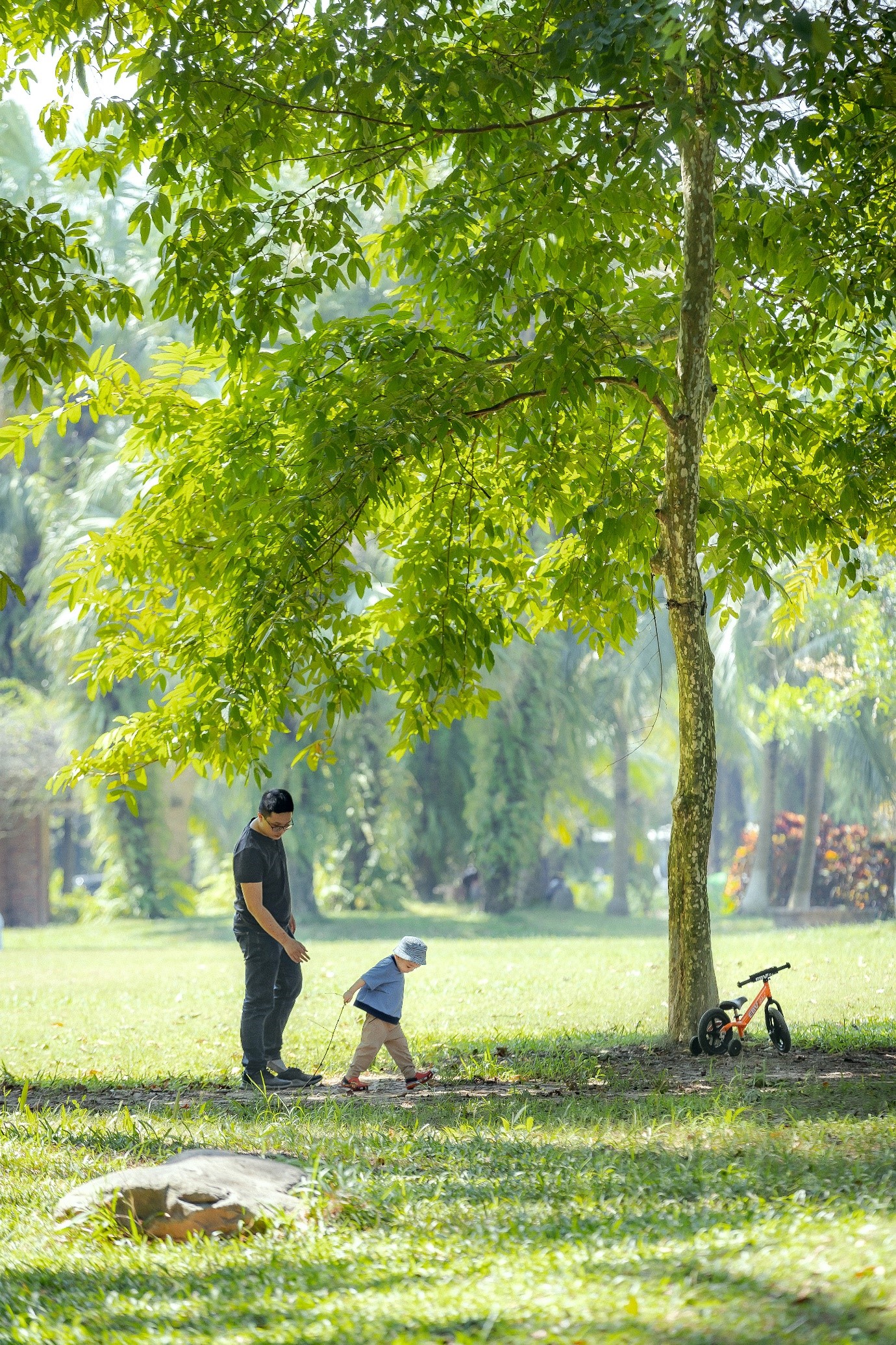 Kinh tế - Ecopark và hành trình bền bỉ kiến tạo “gia tài” xúc cảm (Hình 2).