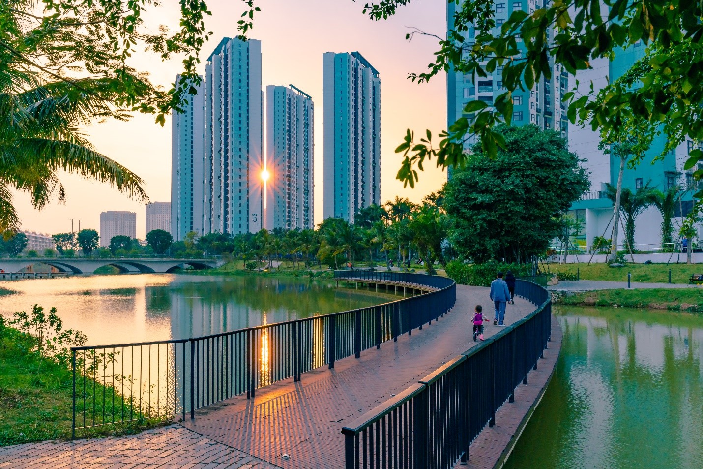 Kinh tế - Những mảng rừng xanh vun đắp tâm hồn tại KĐT Ecopark (Hình 2).