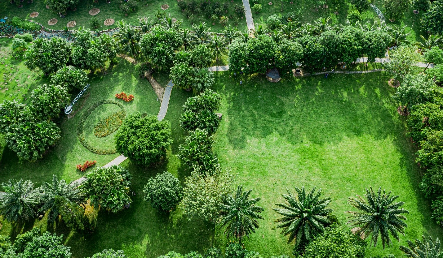 Kinh tế - Những mảng rừng xanh vun đắp tâm hồn tại KĐT Ecopark (Hình 3).