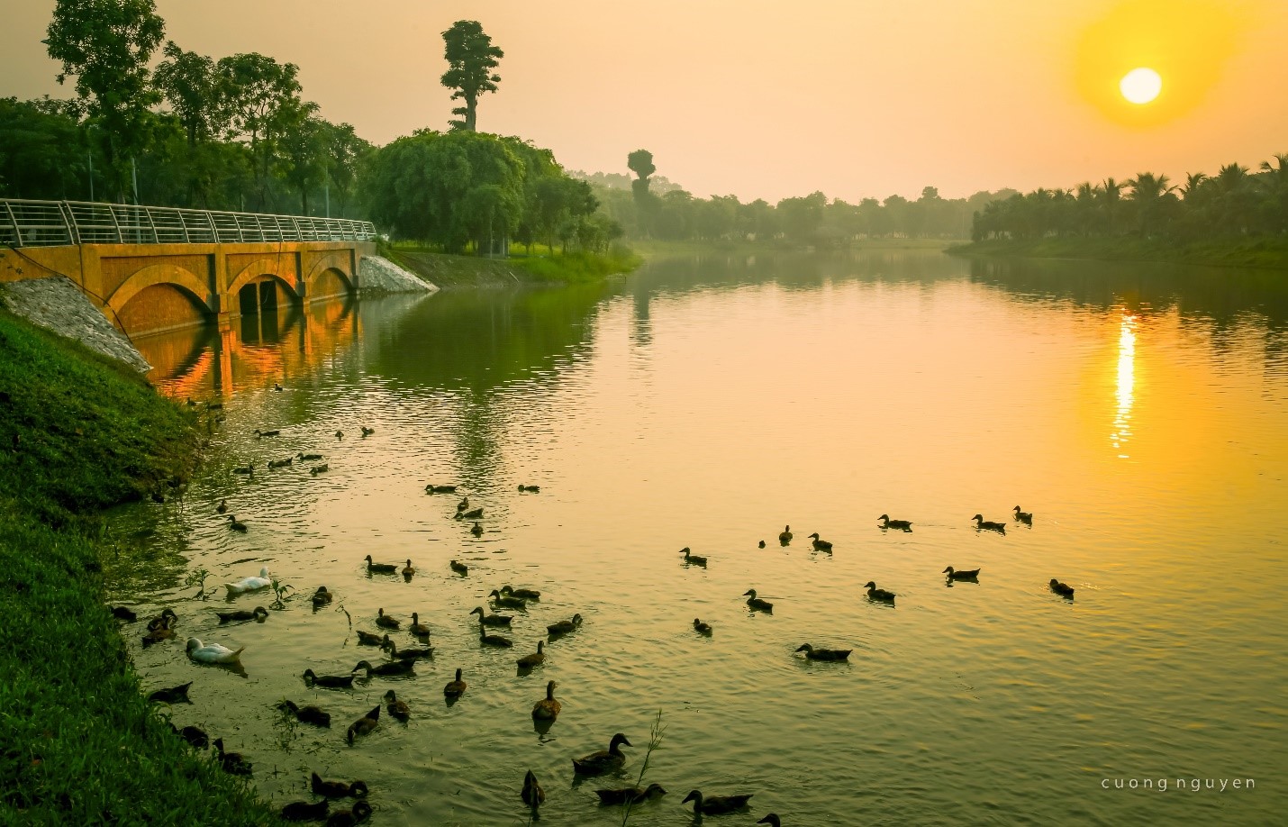 Kinh tế - Những mảng rừng xanh vun đắp tâm hồn tại KĐT Ecopark (Hình 4).