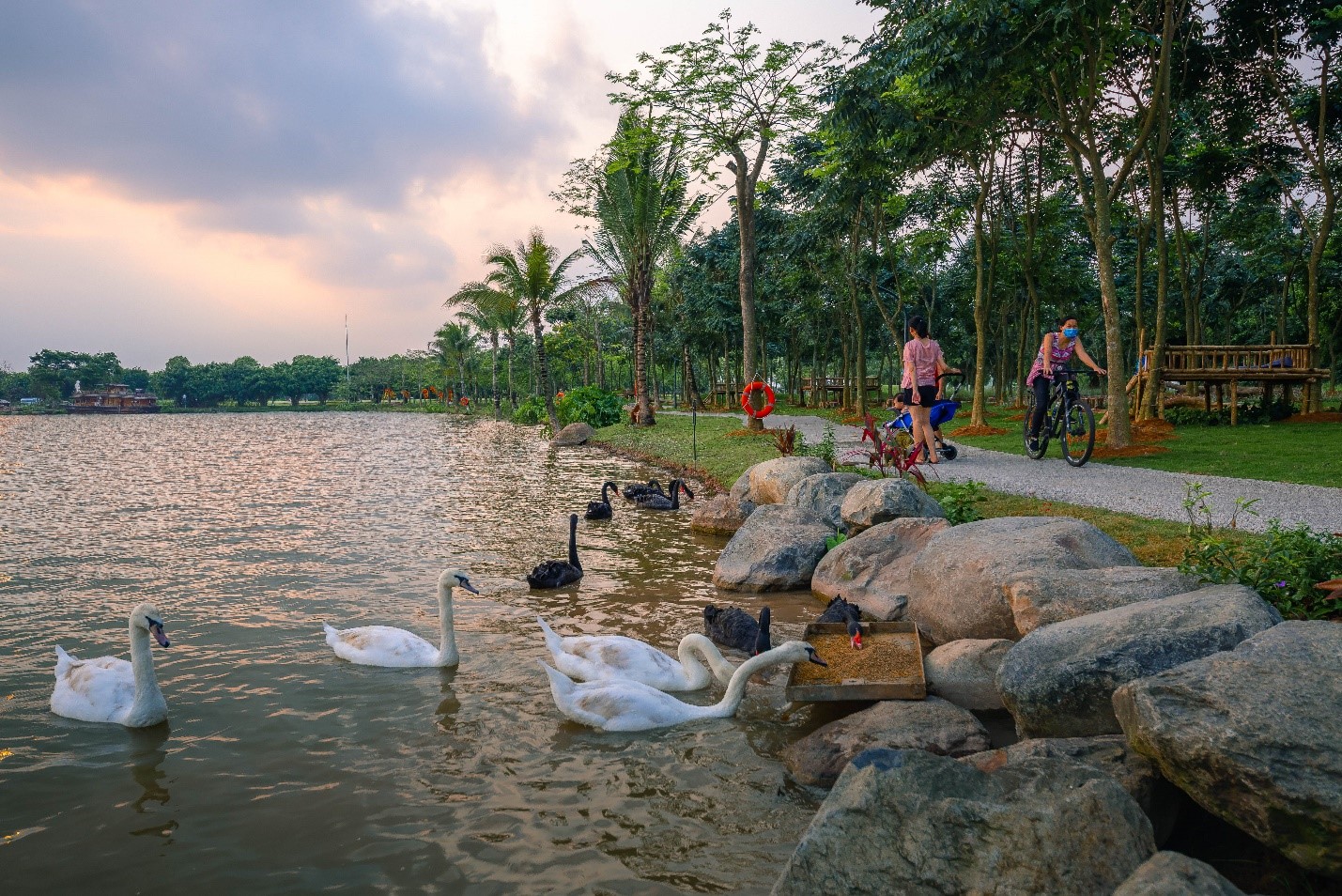 Kinh tế - Những mảng rừng xanh vun đắp tâm hồn tại KĐT Ecopark (Hình 5).