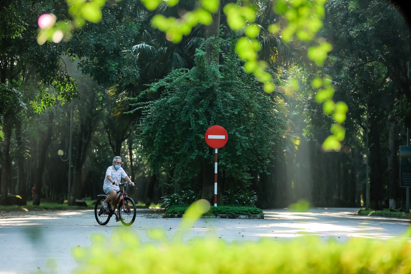 Kinh tế - Những mảng rừng xanh vun đắp tâm hồn tại KĐT Ecopark (Hình 8).