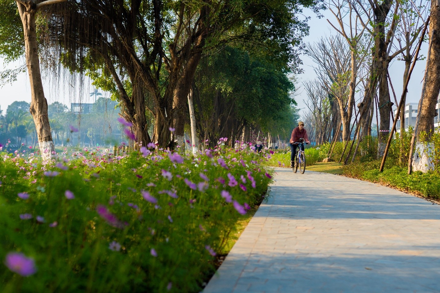 Kinh tế - Ecopark đưa vào hoạt động cung đường dạo bộ đẹp nhất miền Bắc (Hình 11).