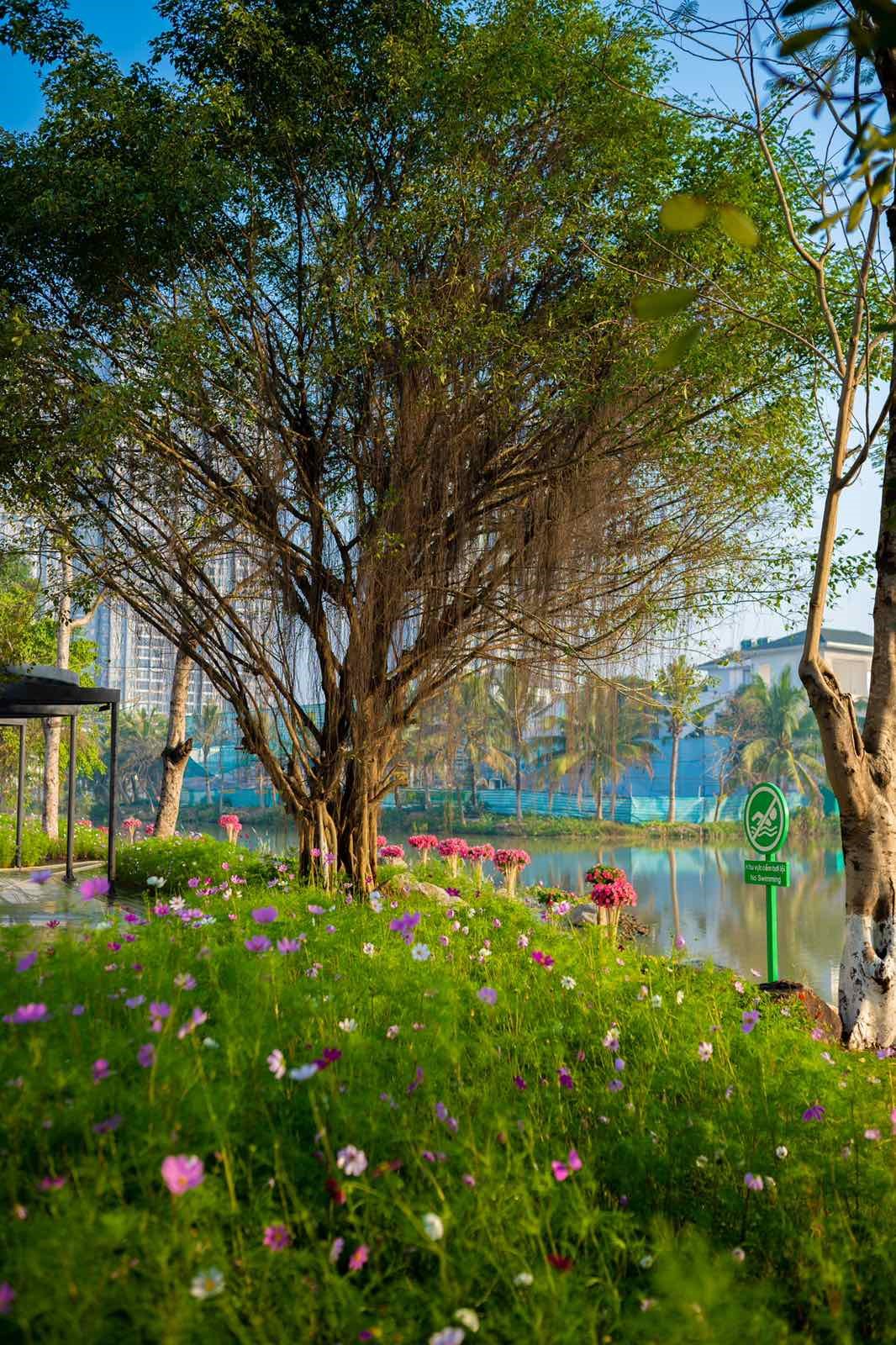 Kinh tế - Ecopark đưa vào hoạt động cung đường dạo bộ đẹp nhất miền Bắc (Hình 9).