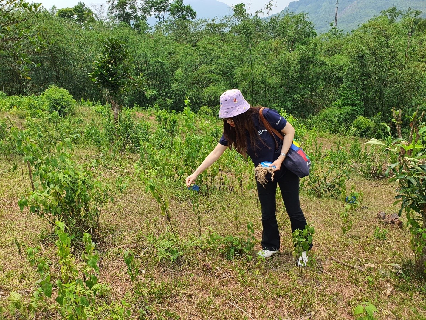 Kinh tế - Ba chân kiềng phát triển bền vững của TNG Holdings Vietnam