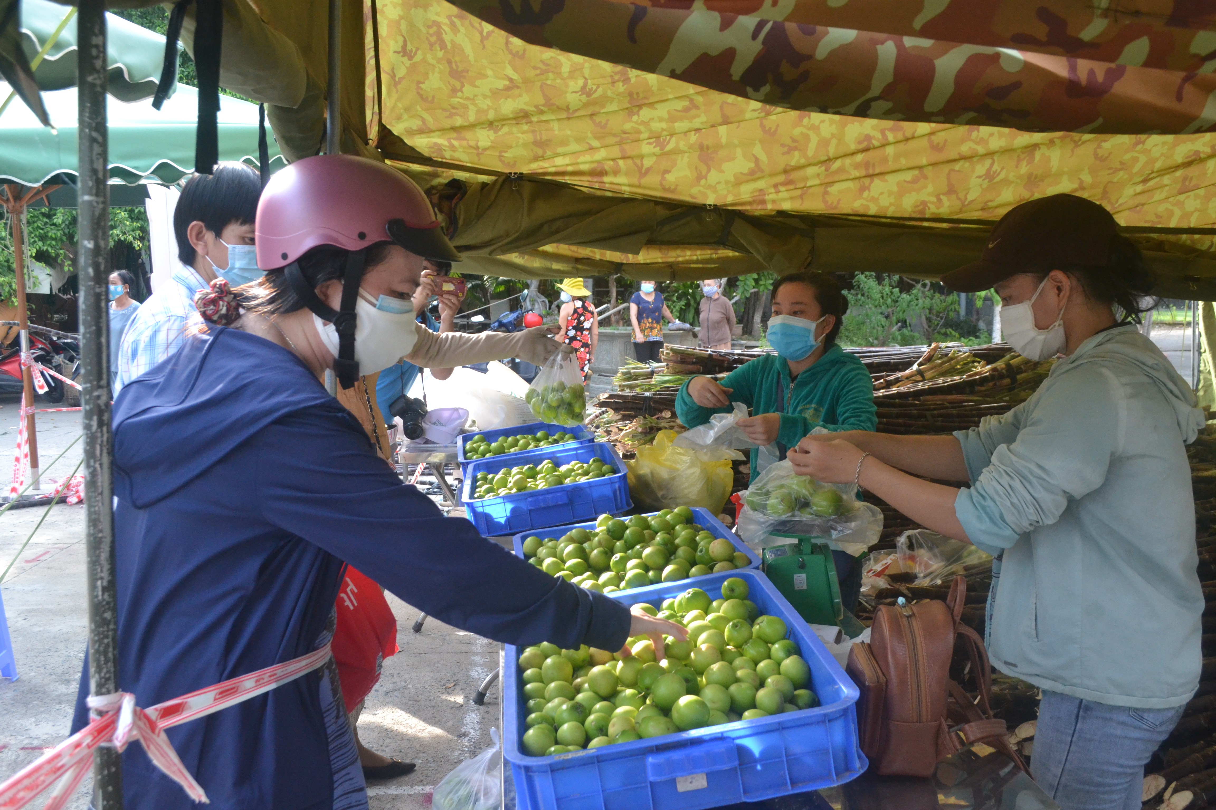 Dân sinh - Khánh Hòa hỗ trợ tiêu thụ nông, thủy sản cho nông dân (Hình 7).