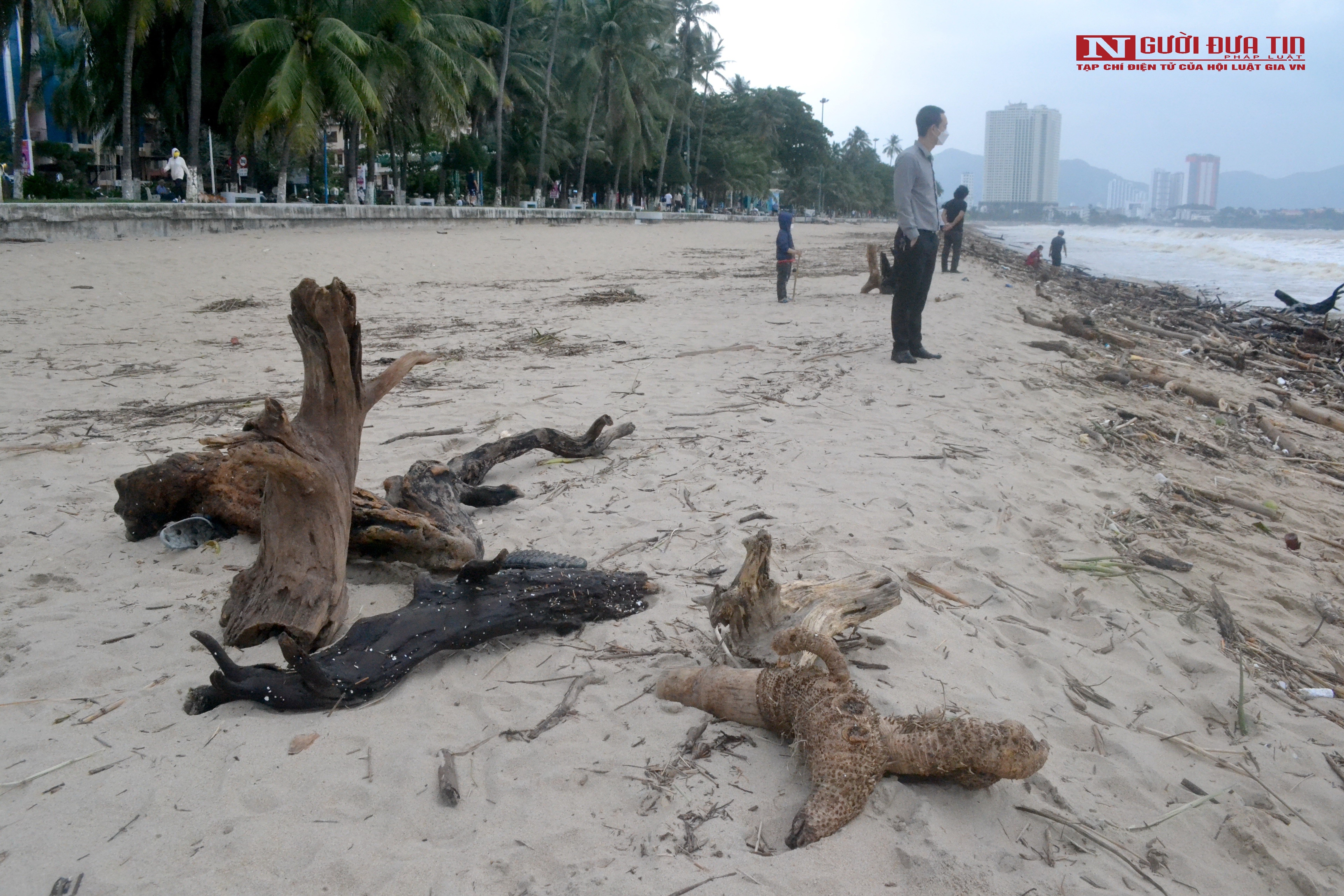 Dân sinh - Khánh Hòa: Bãi biển Nha Trang ngập rác sau mưa lũ (Hình 7).