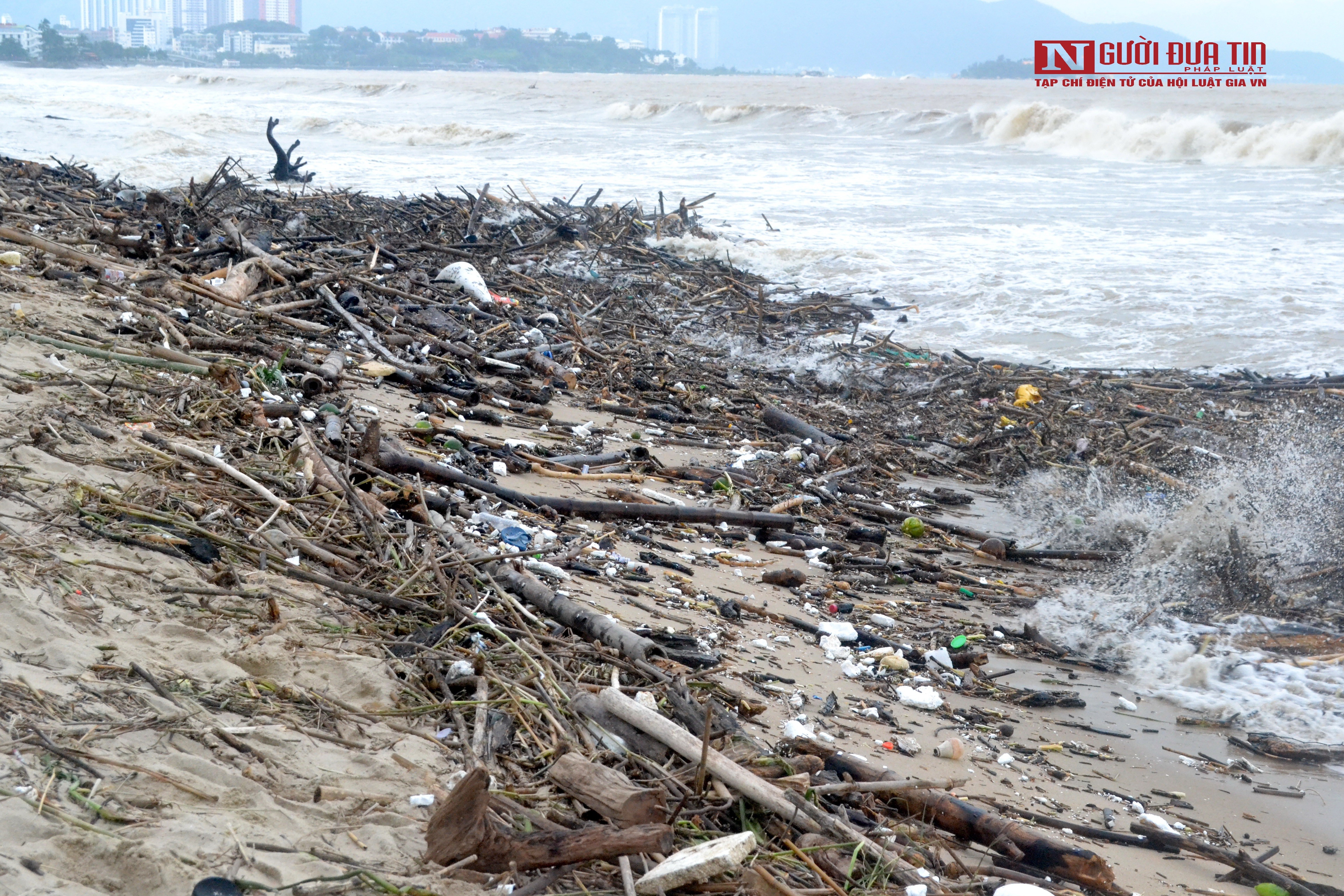 Dân sinh - Khánh Hòa: Bãi biển Nha Trang ngập rác sau mưa lũ