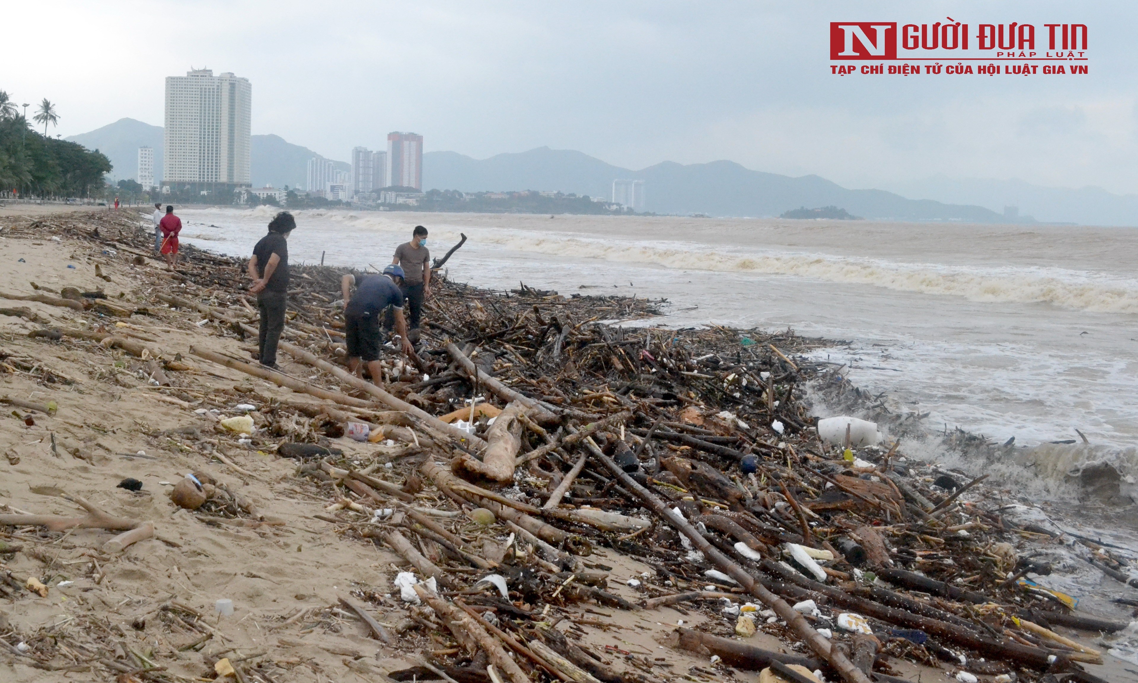 Dân sinh - Khánh Hòa: Bãi biển Nha Trang ngập rác sau mưa lũ (Hình 2).