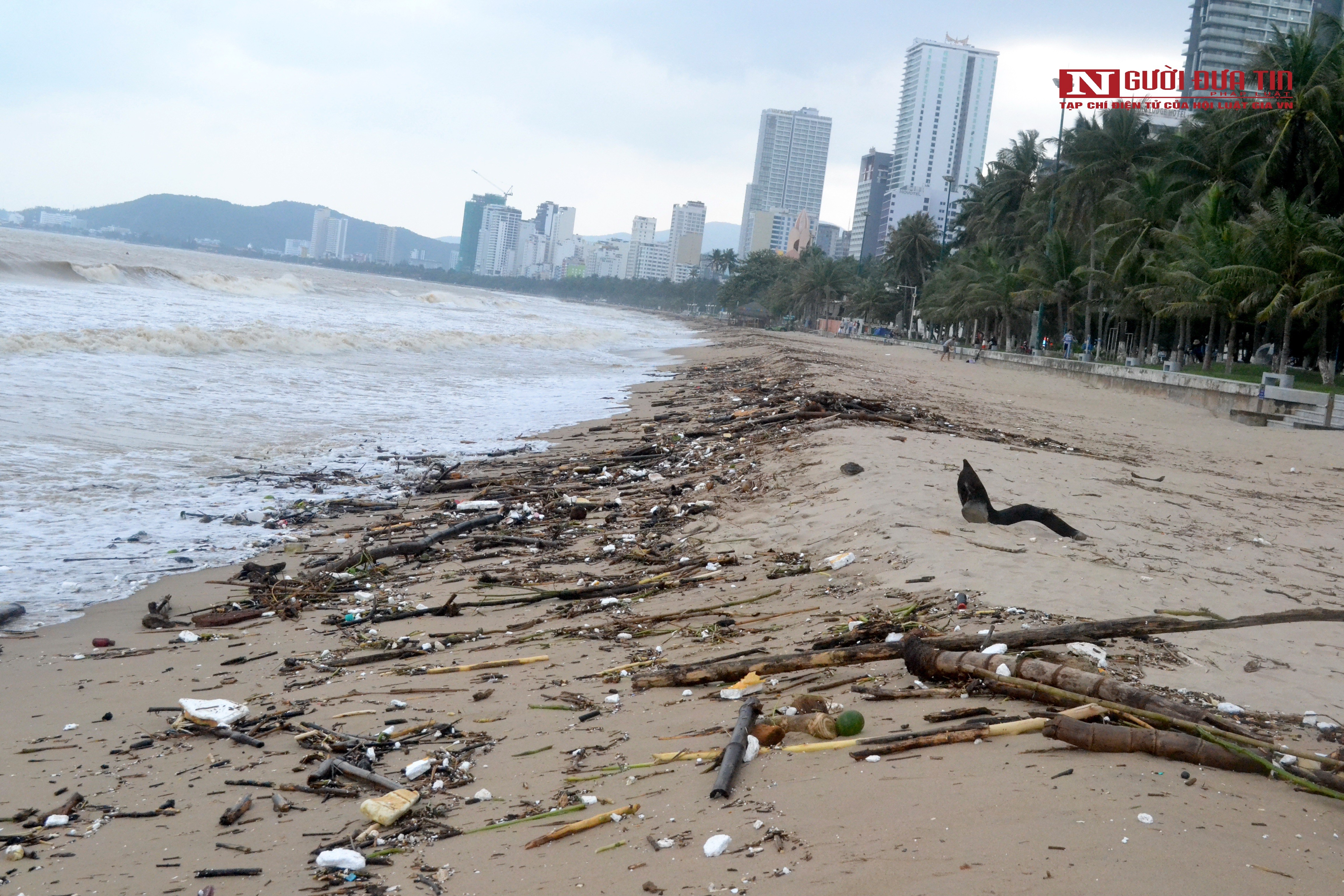 Dân sinh - Khánh Hòa: Bãi biển Nha Trang ngập rác sau mưa lũ (Hình 3).