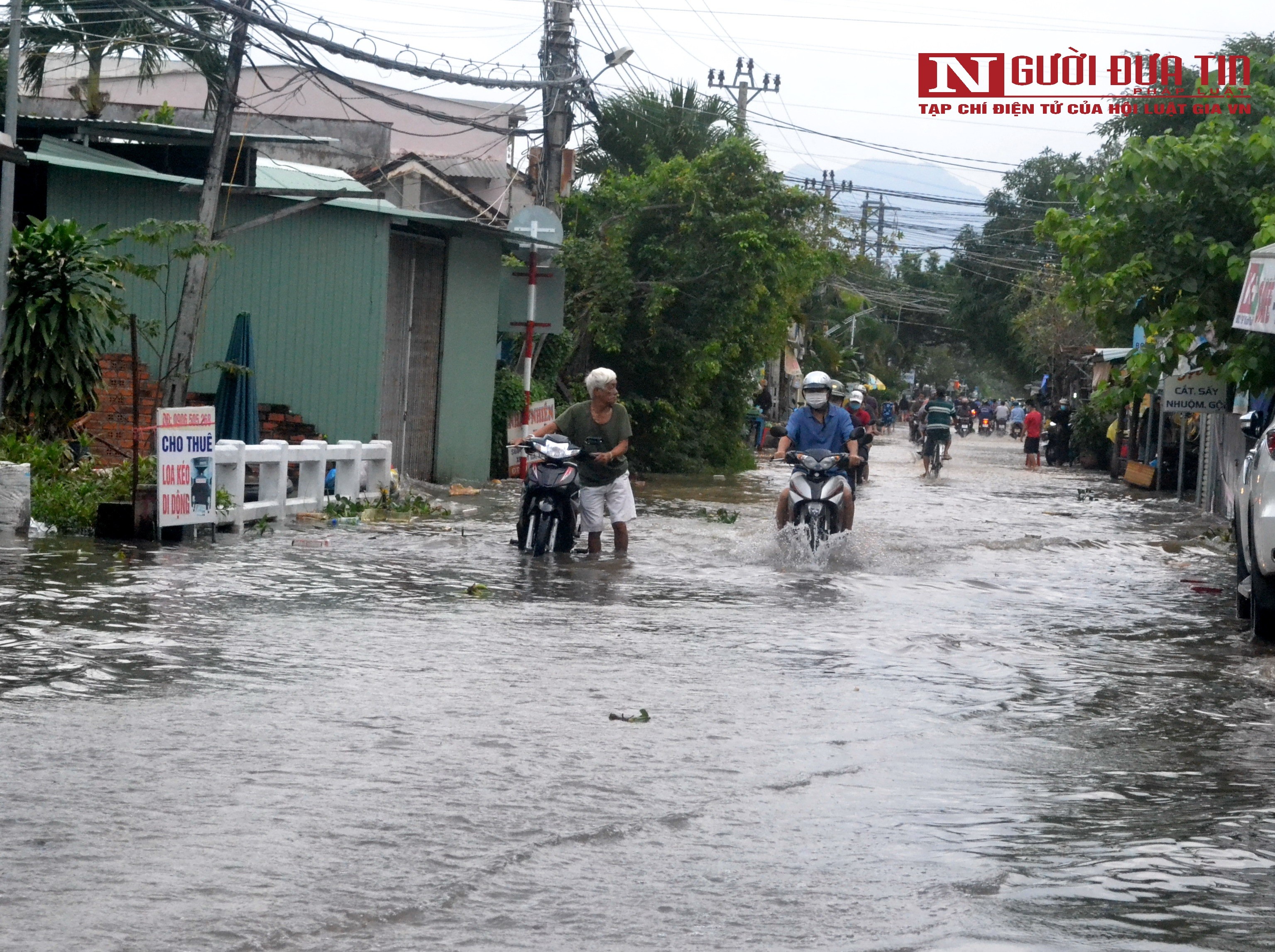 Dân sinh - Khánh Hòa: Mưa lũ gây ngập sâu, sạt lở nhiều nơi (Hình 5).