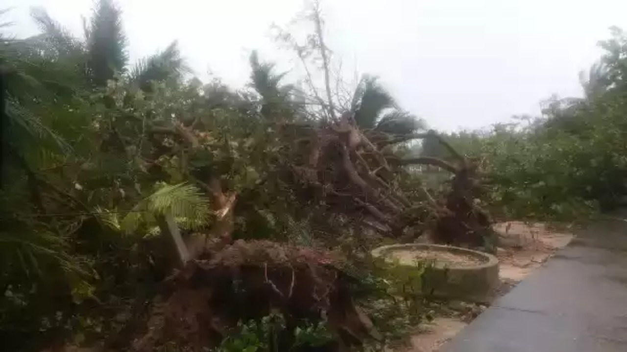 Dân sinh - Khánh Hòa: Bão số 9 gây thiệt hại trên các đảo ở Trường Sa (Hình 4).