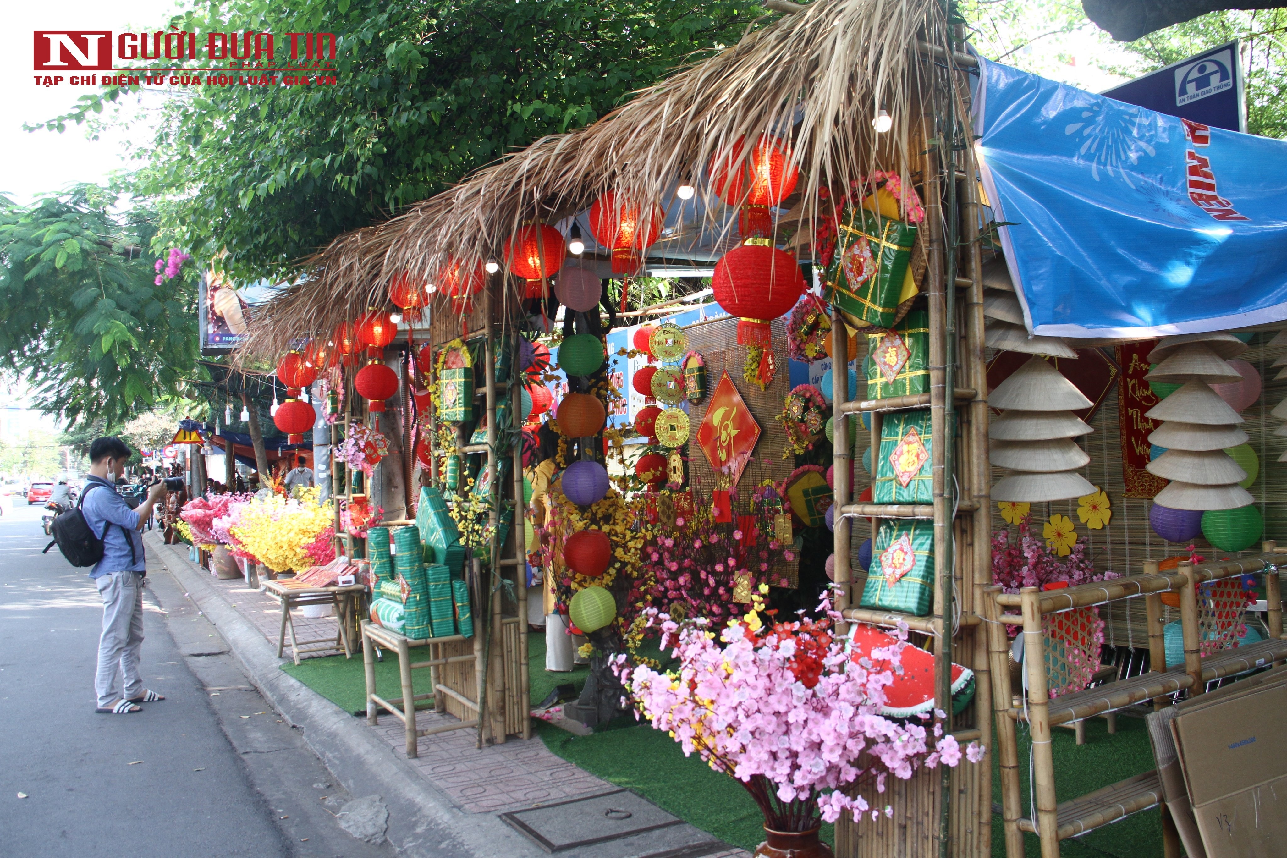 Dân sinh - Khánh Hòa: Xuân về trên phố biển Nha Trang (Hình 5).