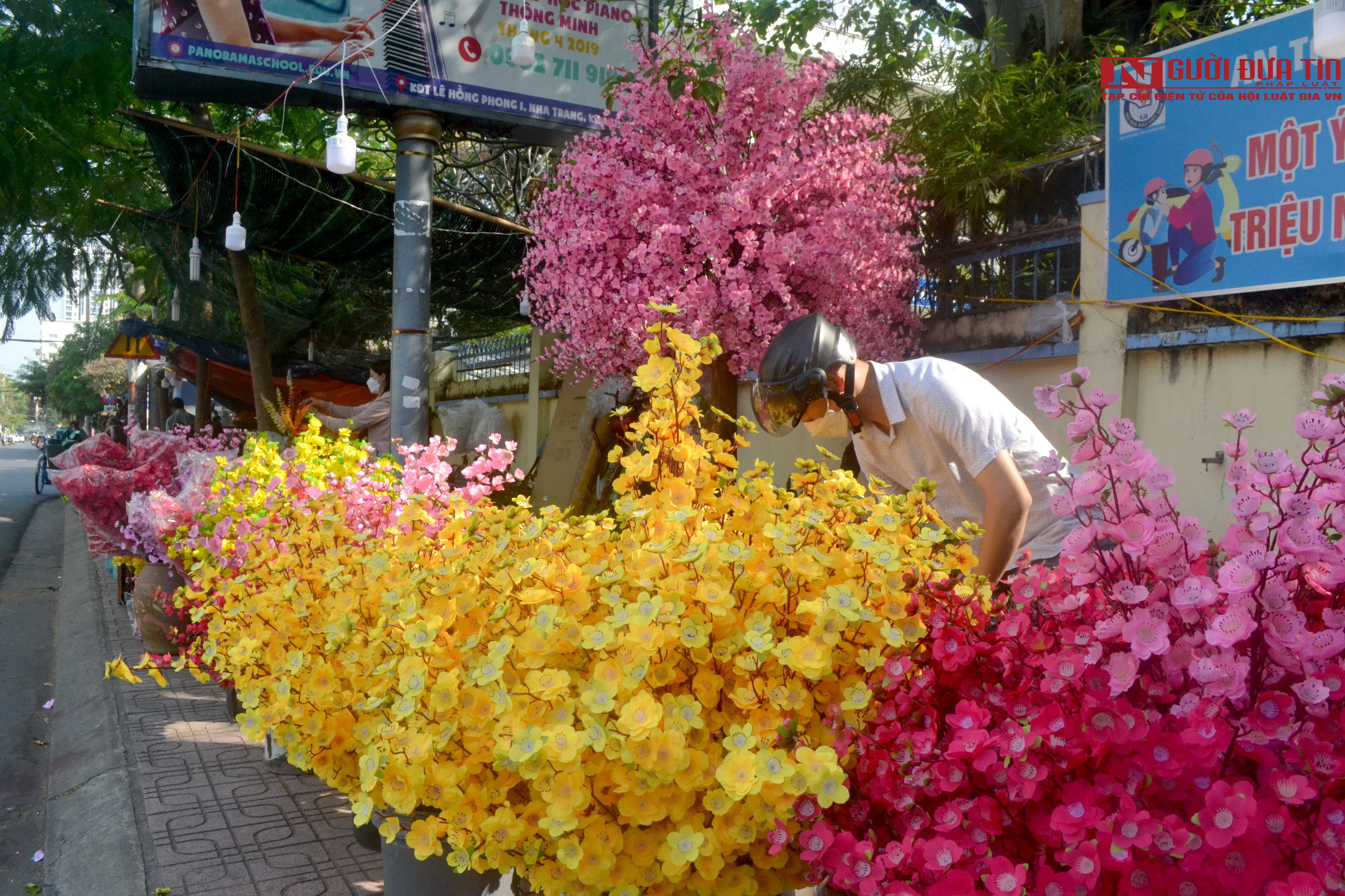 Dân sinh - Khánh Hòa: Xuân về trên phố biển Nha Trang (Hình 6).