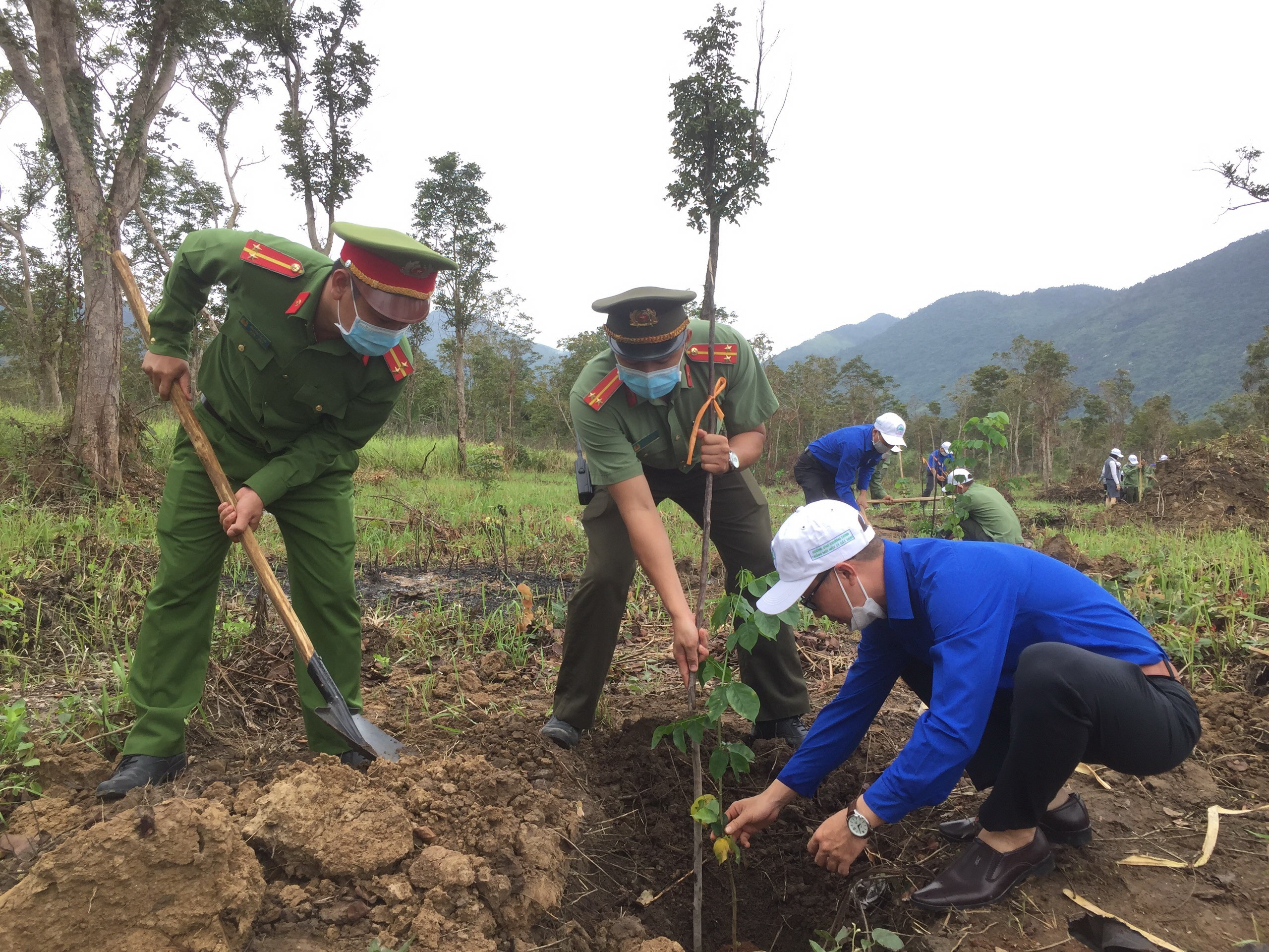 Dân sinh - Khánh Hòa: Hàng ngàn cây xanh được trồng trong mùa xuân mới (Hình 3).