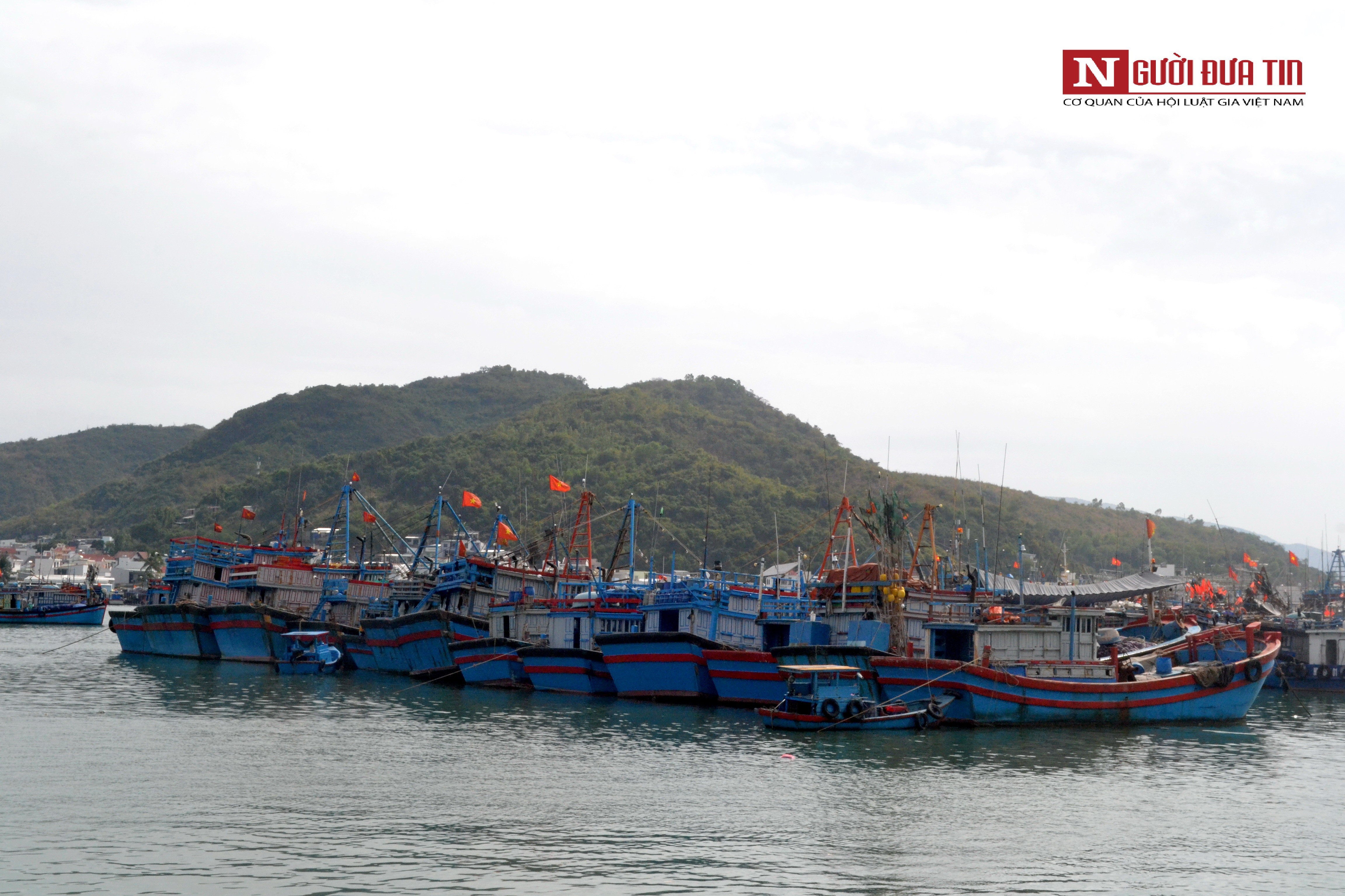 Dân sinh - Khánh Hòa: Công bố khu neo đậu tránh trú bão cho tàu cá 