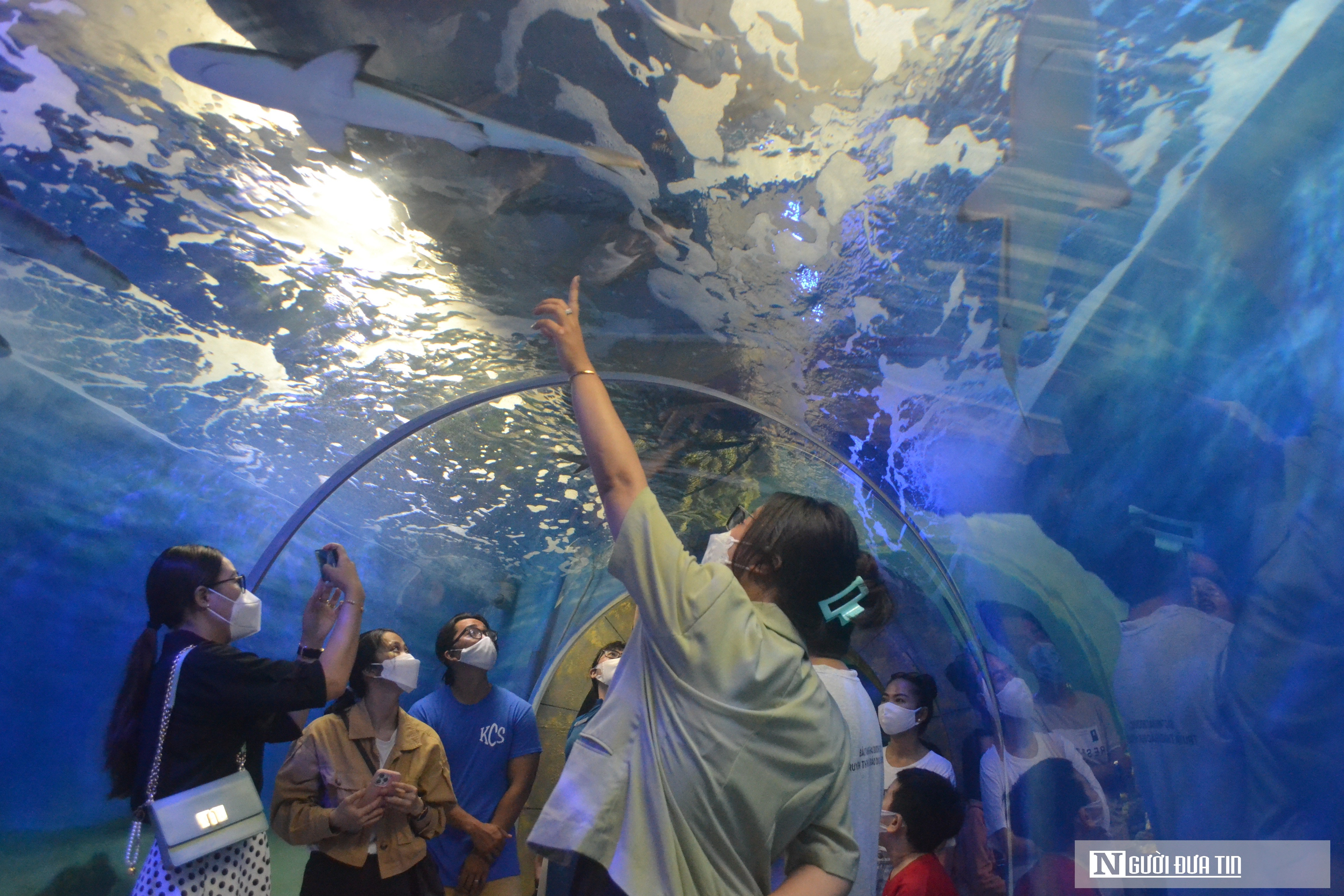 Dân sinh - Khánh Hòa: Hàng ngàn du khách đổ về Nha Trang tham quan biển đảo (Hình 8).