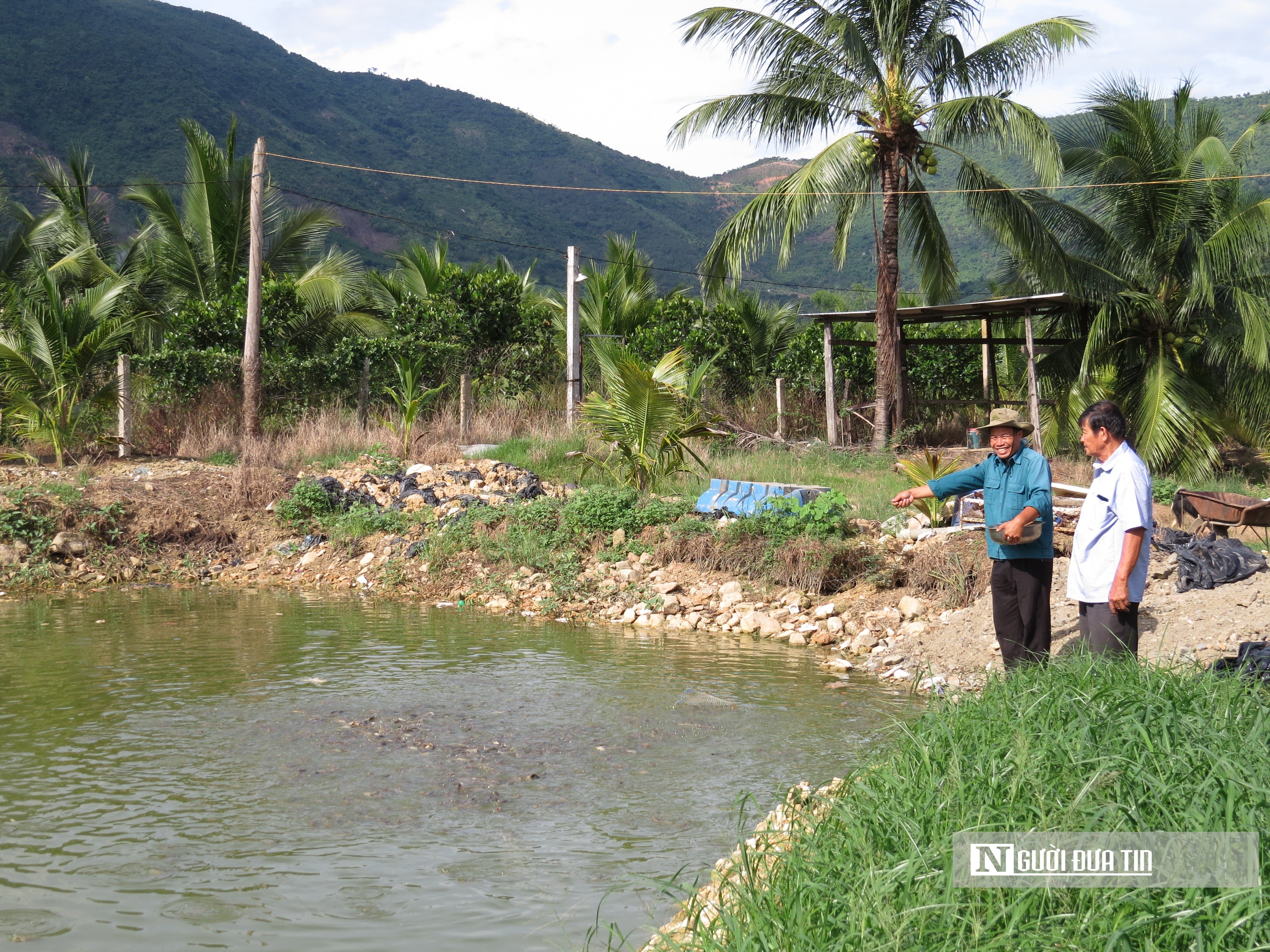 Dân sinh - Lão nông tần tảo bắt đất trả vàng