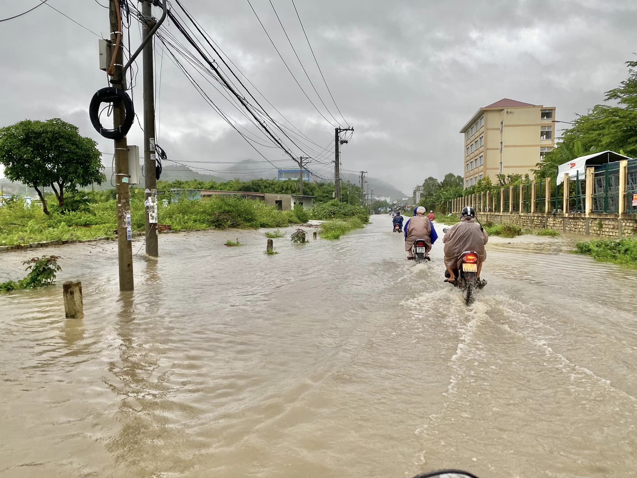 Dân sinh - Khánh Hòa: Mưa lớn, chủ động ứng phó với mưa lũ (Hình 4).