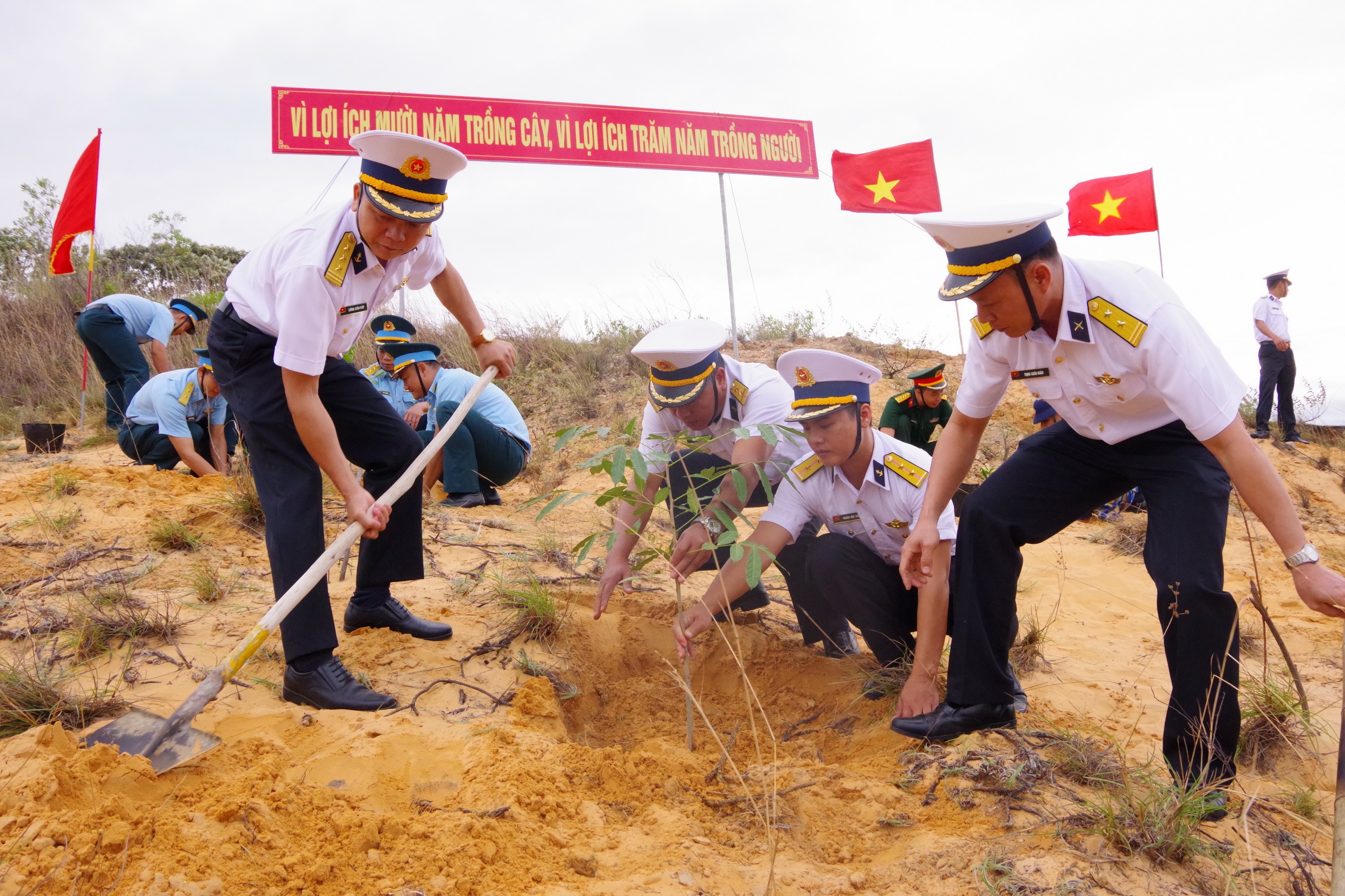 Dân sinh - Cán bộ, chiến sĩ Lữ đoàn 146 trồng hơn 300 cây xanh, cây bóng mát