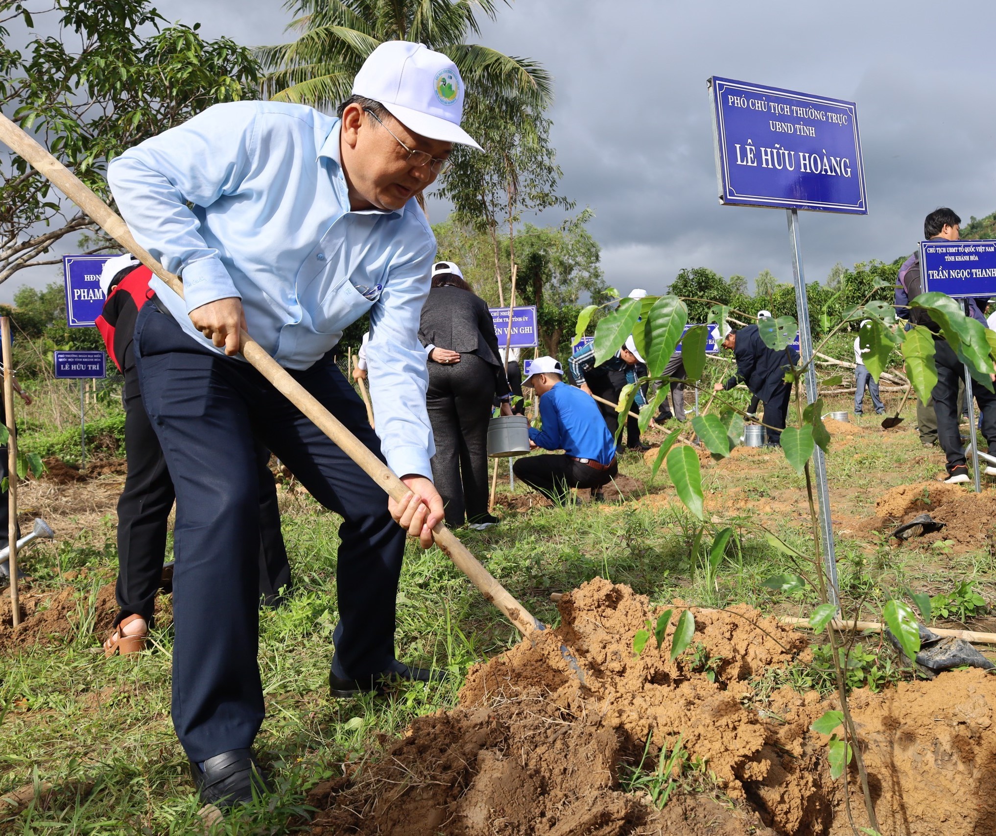 Sự kiện - Khánh Hòa: Hàng ngàn cây xanh được trồng mới trong mùa xuân (Hình 5).