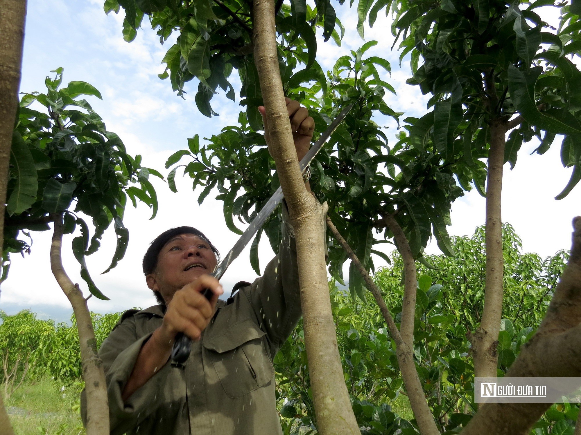 Dân sinh - Người thương binh làm giàu trên vùng đất khó (Hình 2).