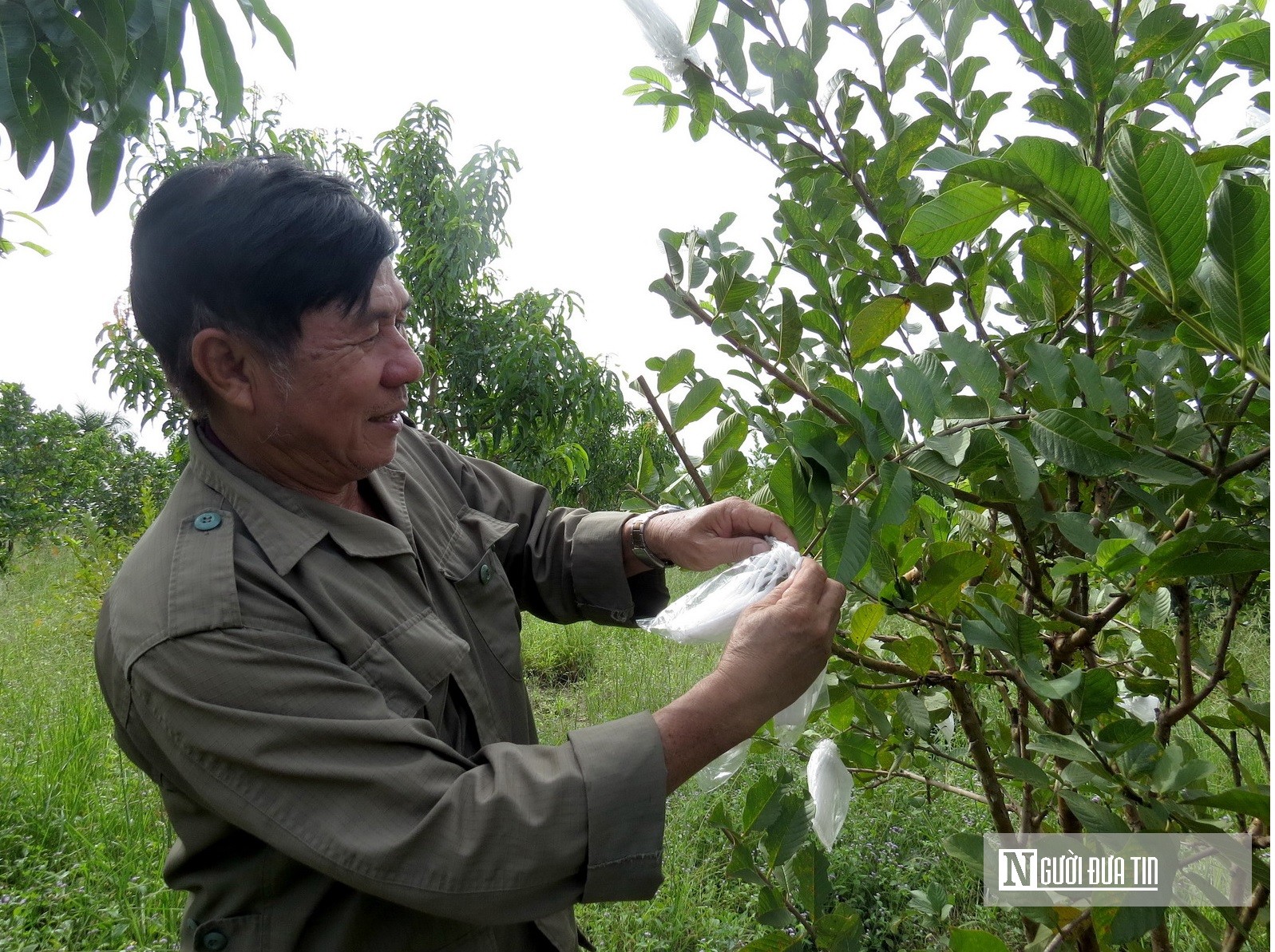 Dân sinh - Người thương binh làm giàu trên vùng đất khó (Hình 3).