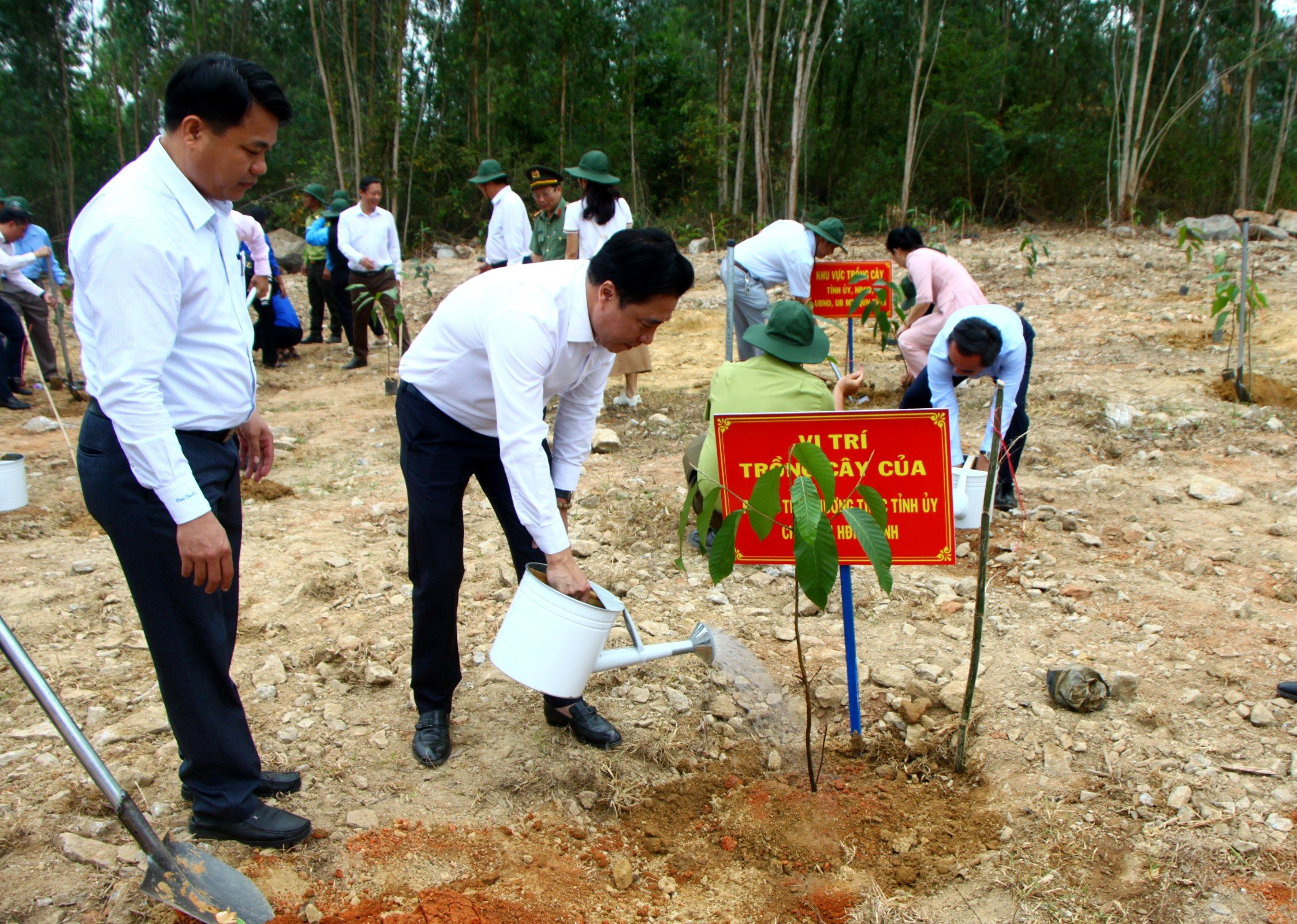 Môi trường - Các địa phương trong tỉnh Khánh Hòa phát động Tết trồng cây