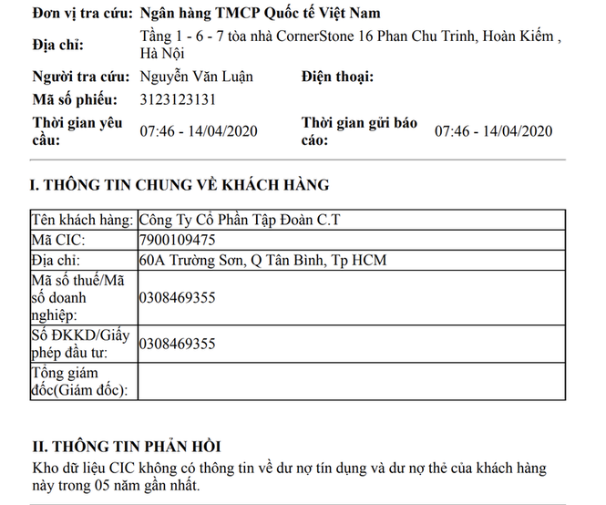 Xã hội - C.T Group không có dư nợ trong 5 năm gần đây? (Hình 2).