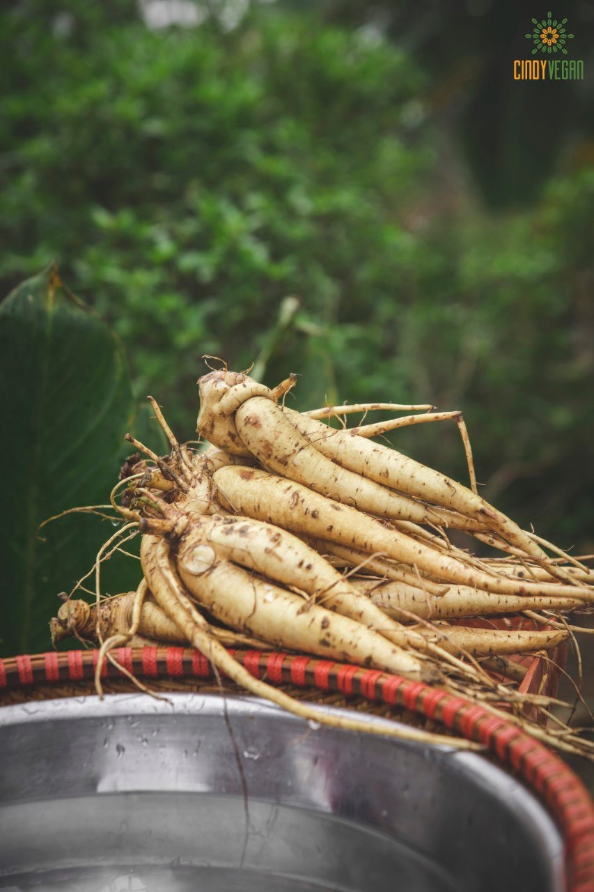 Xã hội - Bánh chưng Nhân sâm của thương hiệu Cindy vegan có gì đặc biệt? (Hình 11).