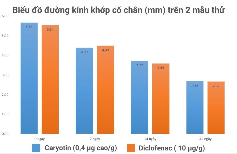 Kết nối - Hoạt chất 'vàng' trong quả Đủng đỉnh - Chìa khóa cứu thoát người bệnh  (Hình 3).