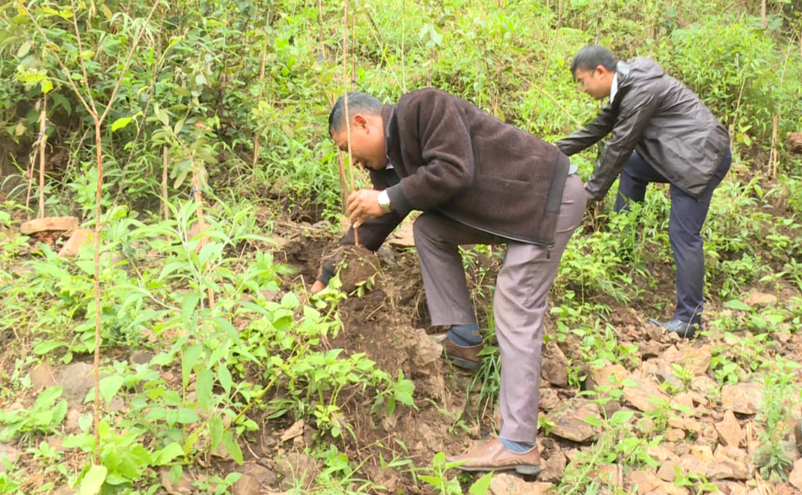 Dân sinh - Lâm Đồng: Sôi nổi vòng đua xe đạp quanh hồ Xuân Hương (Hình 5).