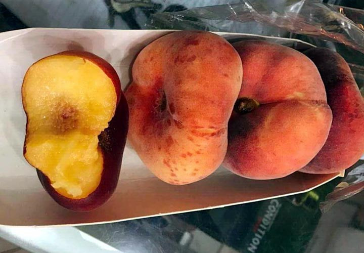 Xã hội - Cận cảnh đào dẹt 500.000 đồng/kg được người Việt săn lùng (Hình 5).