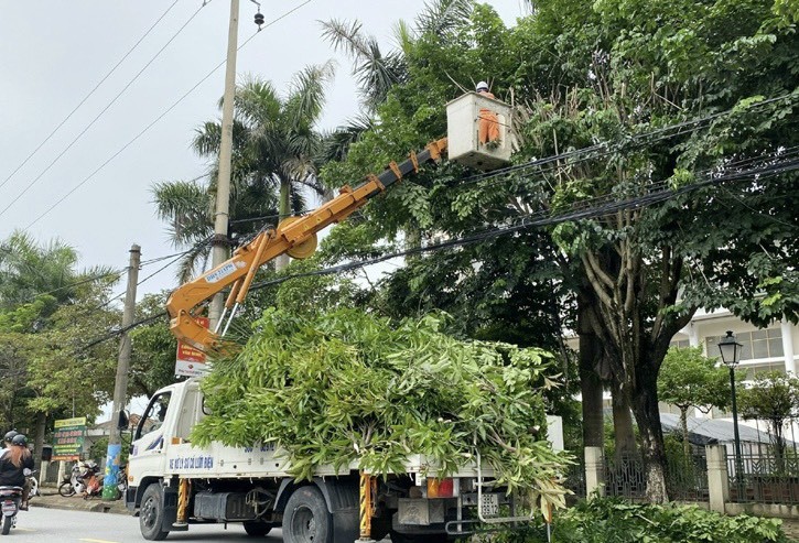 Dân sinh - Công ty Điện lực Hà Tĩnh tăng cường bảo vệ hành lang an toàn lưới điện (Hình 2).