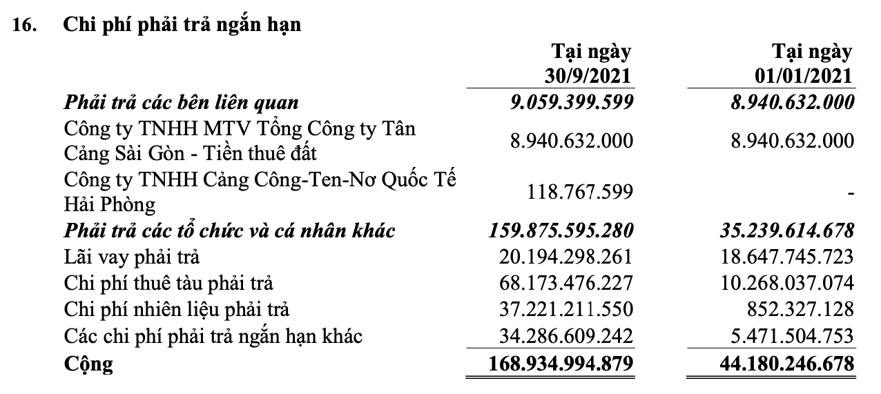 Hồ sơ doanh nghiệp - Hậu chào sàn UPCoM, Dịch vụ Biển Tân Cảng đạt doanh thu 527 tỷ đồng