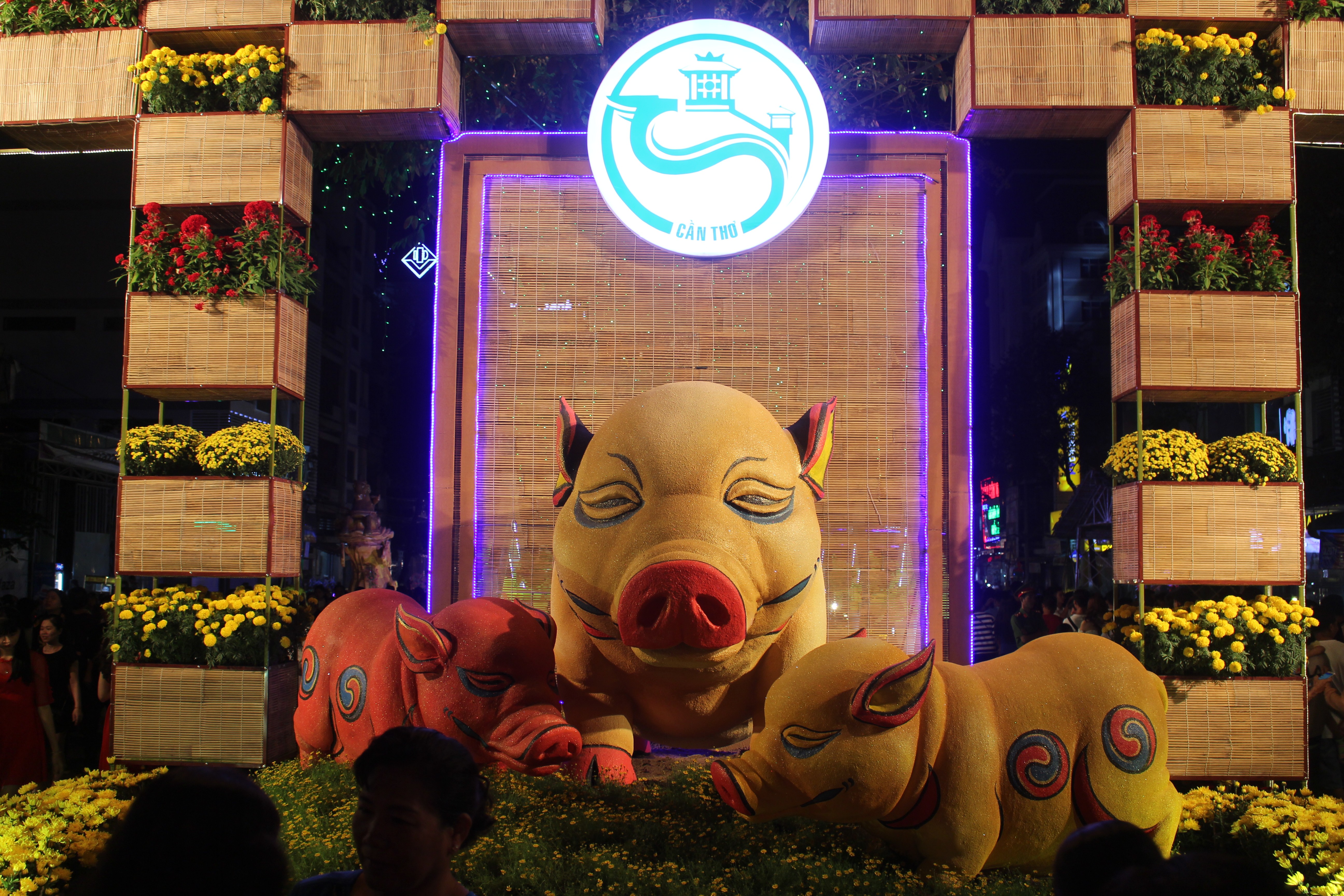 Văn hoá - Độc đáo “Bến Ninh Kiều”, “Hồ Gươm” thơ mộng giữa lòng  TP Cần Thơ (Hình 13).