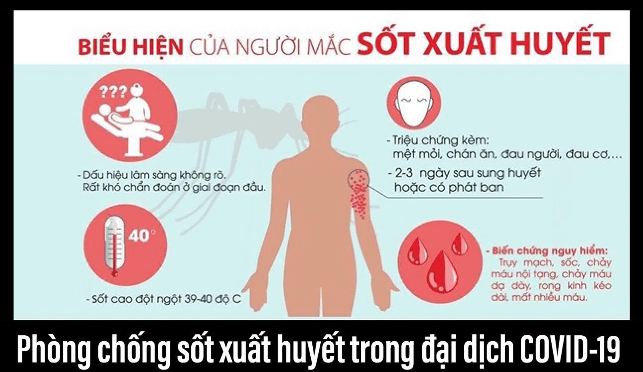 Tin nhanh - TP.HCM: Cảnh báo nguy cơ xảy ra ổ  dịch sốt xuất huyết từ ca tử vong đầu tiên (Hình 3).