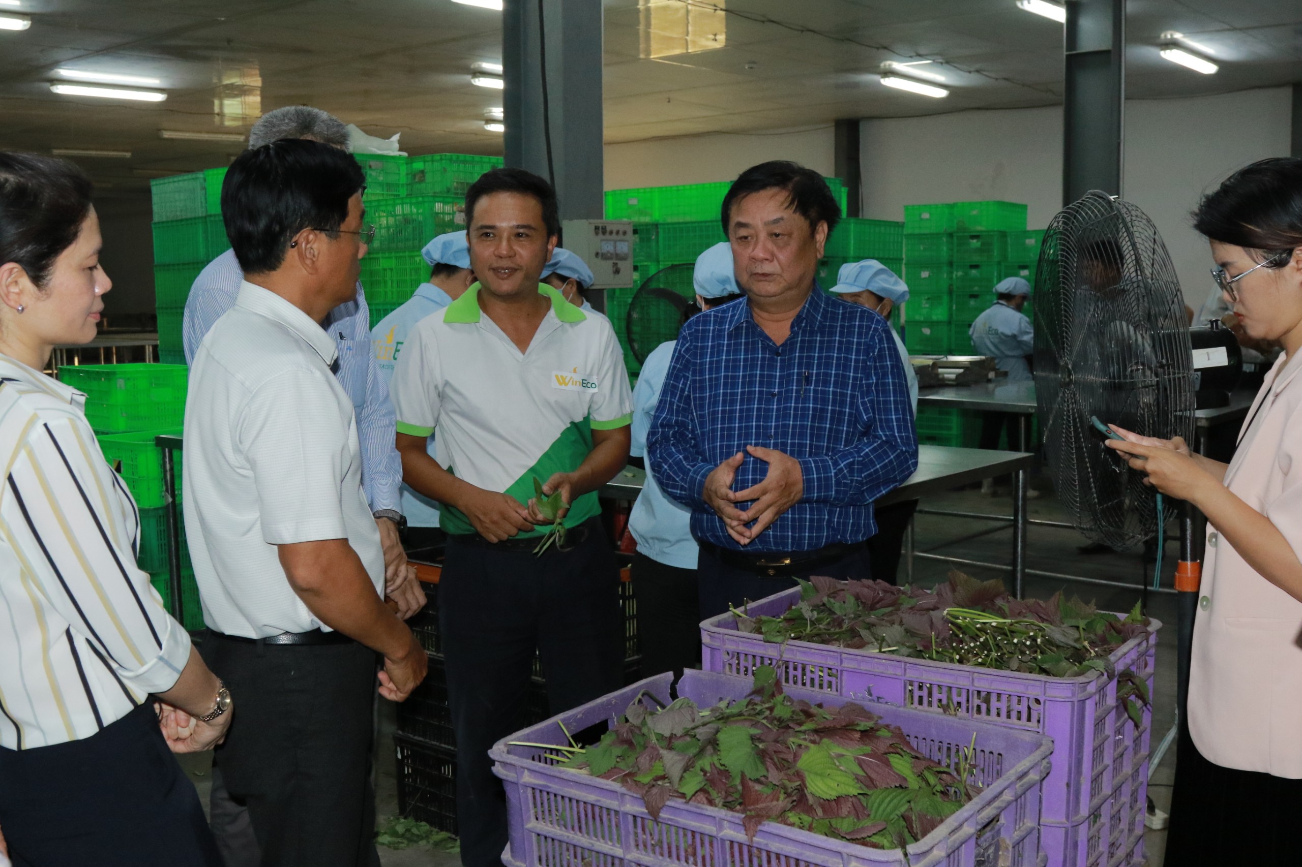 Sự kiện - Bộ trưởng Lê Minh Hoan khảo sát chất lượng hàng hóa tại chợ đầu mối, siêu thị ở Tp.HCM (Hình 2).