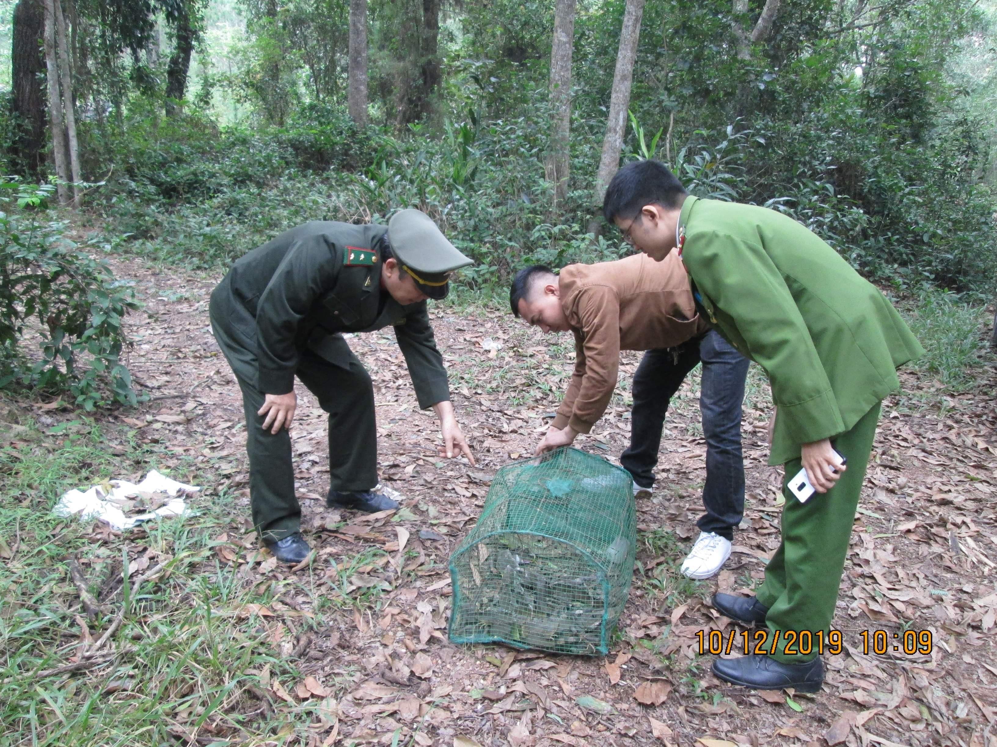 Tin nhanh - Quảng cáo bán động vật rừng trên zalo, kiểm lâm mật phục bắt quả tang xử phạt (Hình 4).